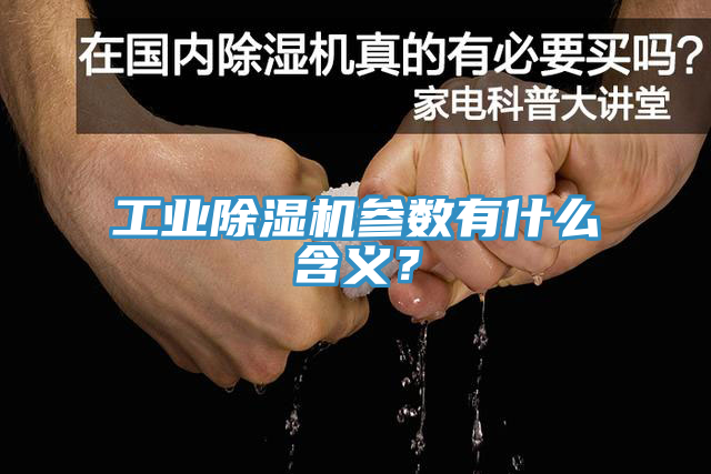 工業91看片软件大全參數有什麽含義？