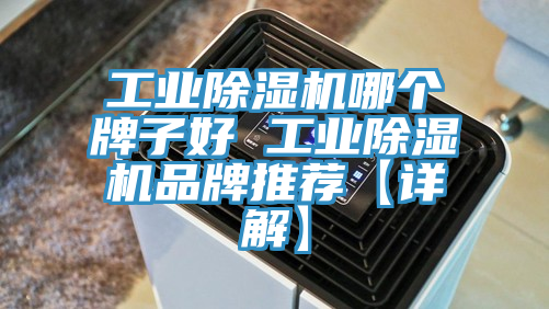 工業91看片软件大全哪個牌子好 工業91看片软件大全品牌推薦【詳解】