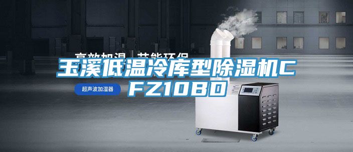 玉溪低溫冷庫型91看片软件大全CFZ10BD