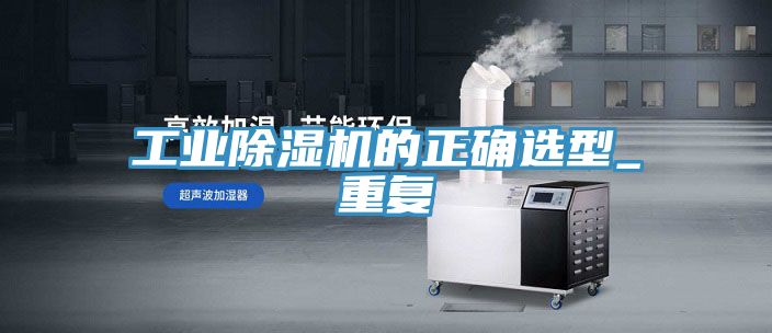 工業91看片软件大全的正確選型_重複