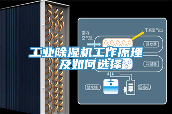 工業91看片软件大全工作原理 及如何選擇