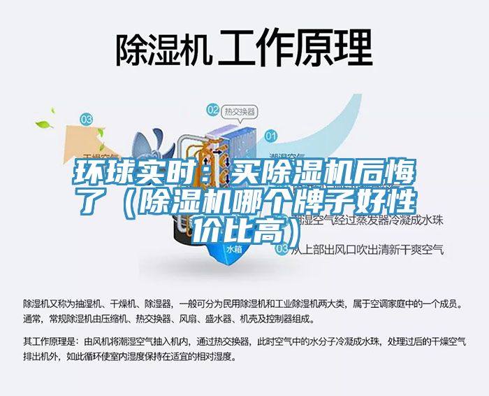 環球實時：買91看片软件大全後悔了（91看片软件大全哪個牌子好性價比高）