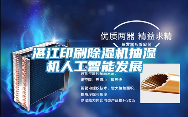 湛江印刷91看片软件大全抽濕機人工智能發展