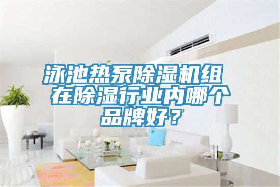 泳池熱泵91看片软件大全組 在除濕行業內哪個品牌好？
