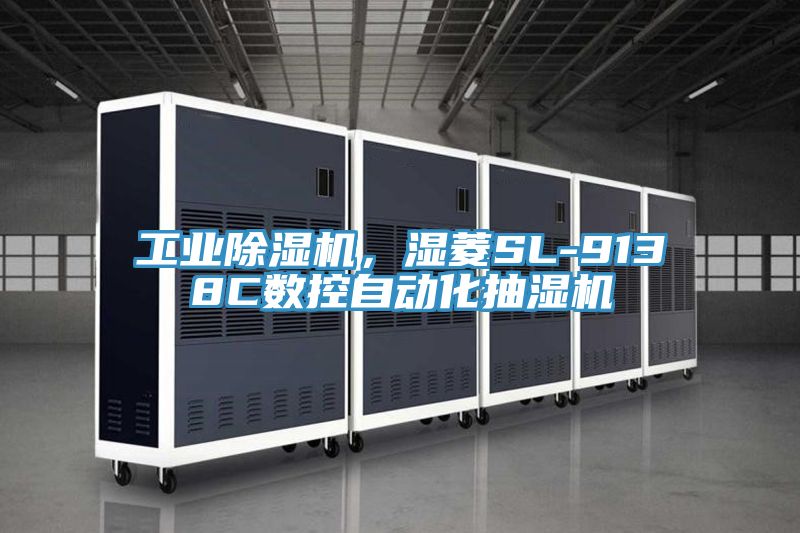 工業91看片软件大全，濕菱SL-9138C數控自動化抽濕機