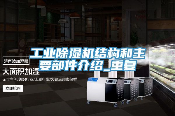 工業91看片软件大全結構和主要部件介紹_重複