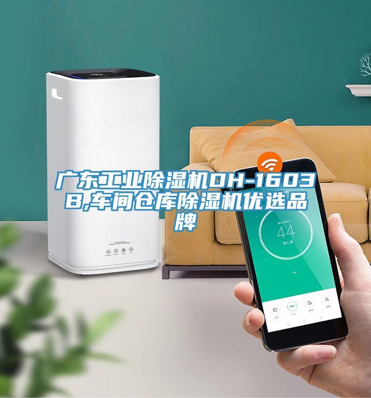 廣東工業91看片软件大全DH-1603B,車間倉庫91看片软件大全優選品牌