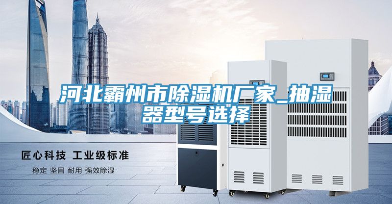 河北霸州市91看片软件大全廠家_抽濕器型號選擇