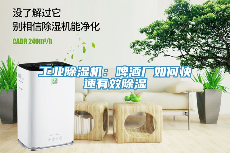 工業91看片软件大全：啤酒廠如何快速有效除濕