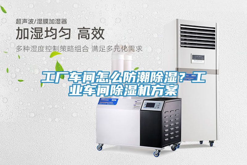 工廠車間怎麽防潮除濕？工業車間91看片软件大全方案