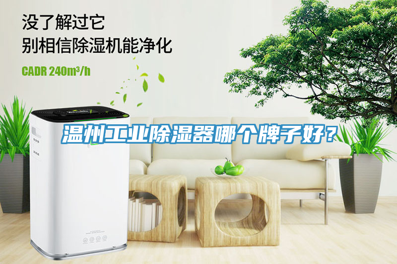 溫州工業除濕器哪個牌子好？