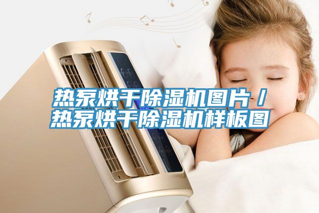 熱泵烘幹91看片软件大全圖片／熱泵烘幹91看片软件大全樣板圖