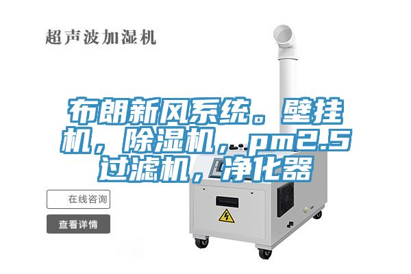 布朗新風係統。壁掛機，91看片软件大全，pm2.5過濾機，淨化器