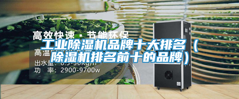 工業91看片软件大全品牌十大排名（91看片软件大全排名前十的品牌）