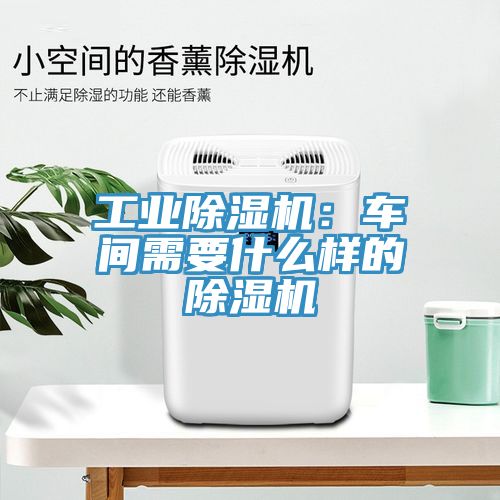 工業91看片软件大全：車間需要什麽樣的91看片软件大全