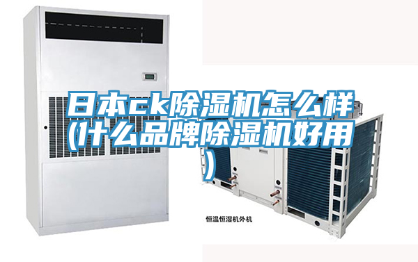 日本ck91看片软件大全怎麽樣(什麽品牌91看片软件大全好用)