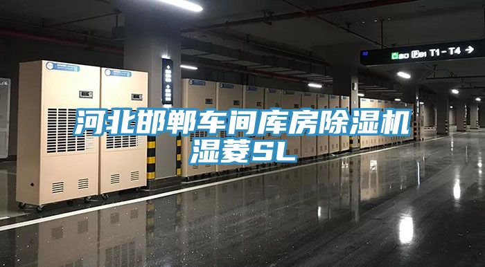 河北邯鄲車間庫房91看片软件大全濕菱SL