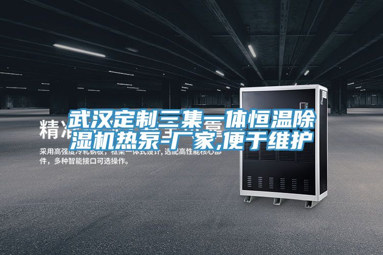 武漢定製三集一體恒溫91看片软件大全熱泵-廠家,便於維護