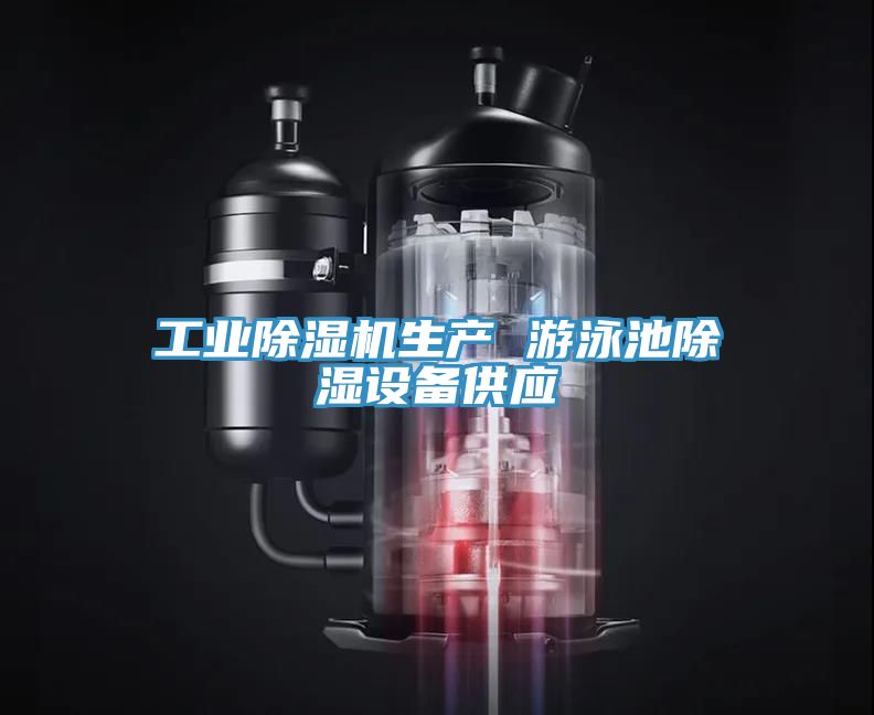 工業91看片软件大全生產 遊泳池除濕設備供應