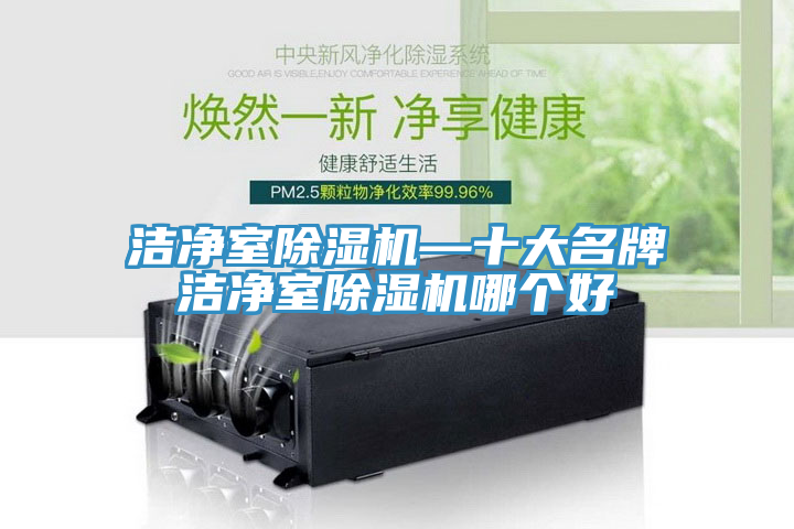 潔淨室91看片软件大全—十大名牌潔淨室91看片软件大全哪個好
