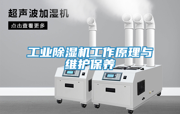 工業91看片软件大全工作原理與維護保養