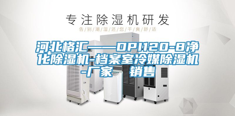 河北格匯——DPI120-8淨化91看片软件大全-檔案室冷媒91看片软件大全-廠家  銷售