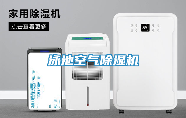 泳池空氣91看片软件大全