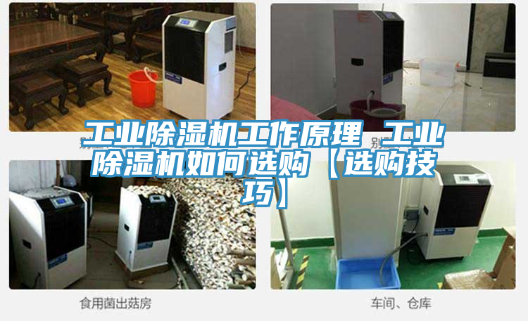 工業91看片软件大全工作原理 工業91看片软件大全如何選購【選購技巧】