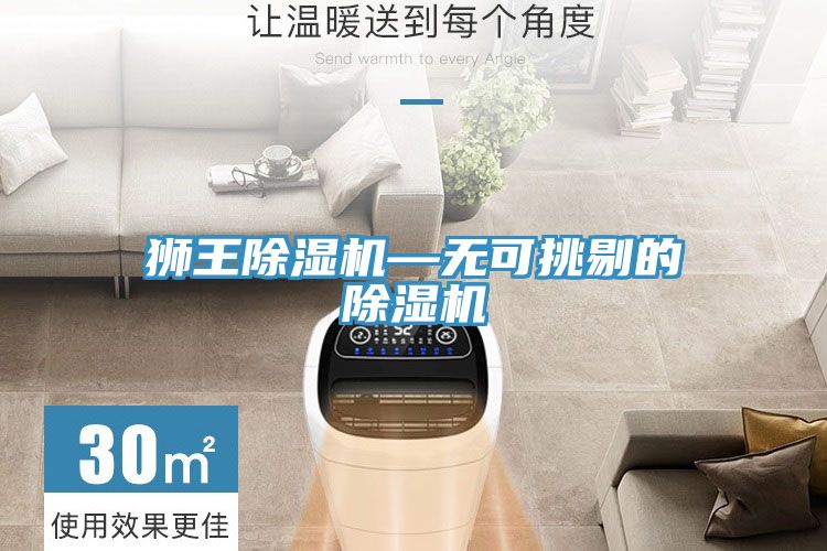 獅王91看片软件大全—無可挑剔的91看片软件大全