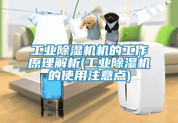 工業91看片软件大全機的工作原理解析(工業91看片软件大全的使用注意點)