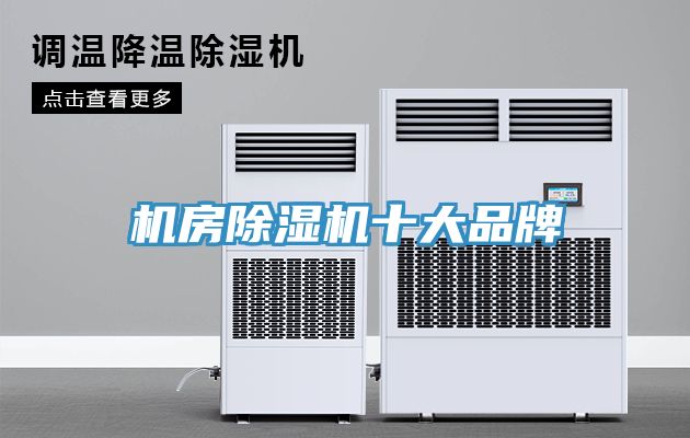 機房91看片软件大全十大品牌