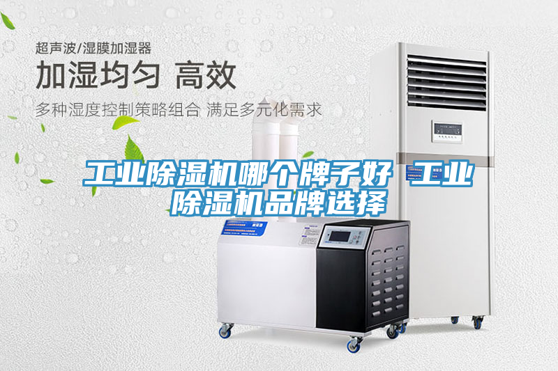 工業91看片软件大全哪個牌子好 工業91看片软件大全品牌選擇