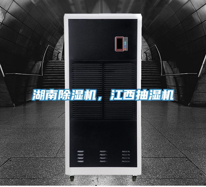 湖南91看片软件大全，江西抽濕機