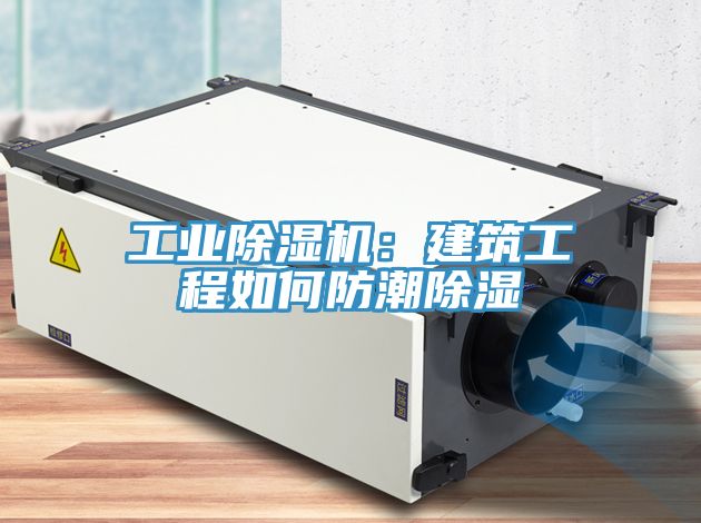工業91看片软件大全：建築工程如何防潮除濕