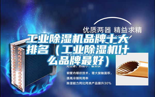 工業91看片软件大全品牌十大排名（工業91看片软件大全什麽品牌最好）