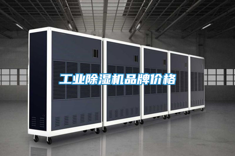 工業91看片软件大全品牌價格