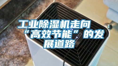 工業91看片软件大全走向“高效節能”的發展道路