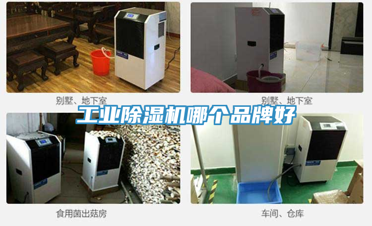 工業91看片软件大全哪個品牌好