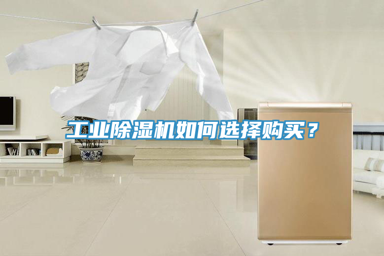 工業91看片软件大全如何選擇購買？