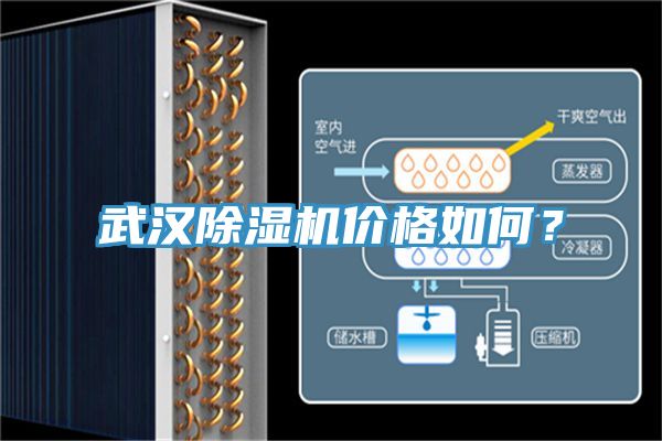 武漢91看片软件大全價格如何？