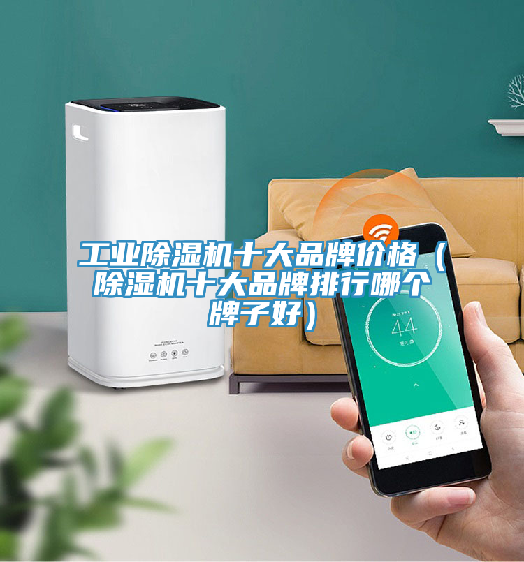工業91看片软件大全十大品牌價格（91看片软件大全十大品牌排行哪個牌子好）