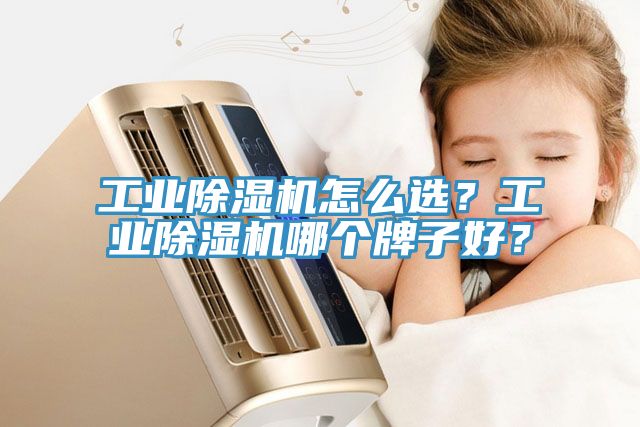 工業91看片软件大全怎麽選？工業91看片软件大全哪個牌子好？