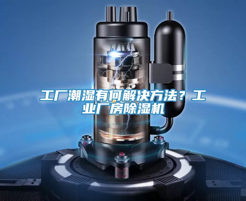 工廠潮濕有何解決方法？工業廠房91看片软件大全