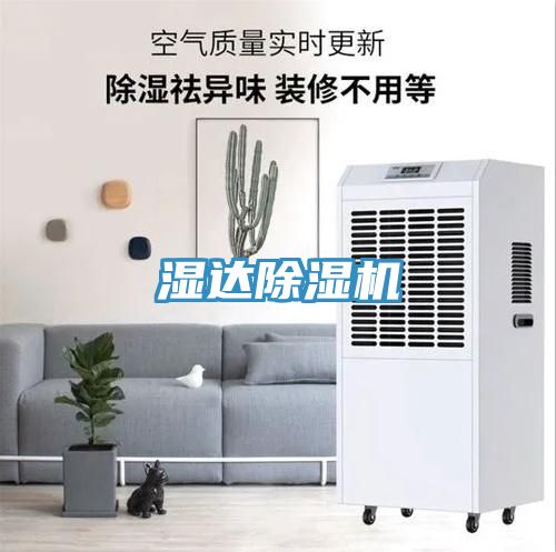 濕達91看片软件大全
