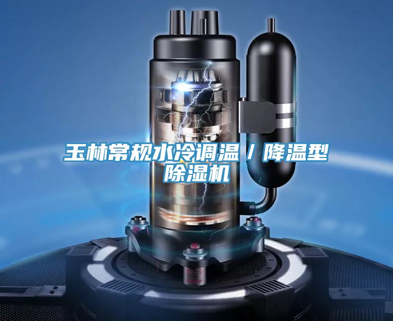 玉林常規水冷調溫／降溫型91看片软件大全