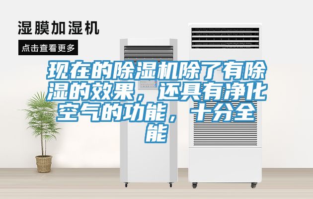 現在的91看片软件大全除了有除濕的效果，還具有淨化空氣的功能，十分全能