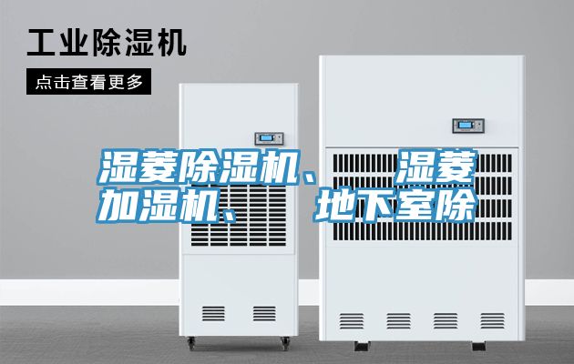 濕菱91看片软件大全、  濕菱加濕機、  地下室除