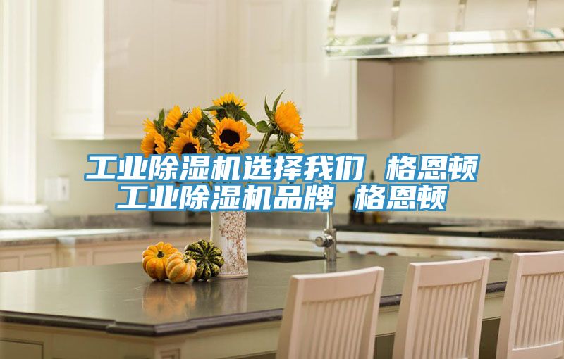 工業91看片软件大全選擇91AV手机看片 格恩頓工業91看片软件大全品牌 格恩頓