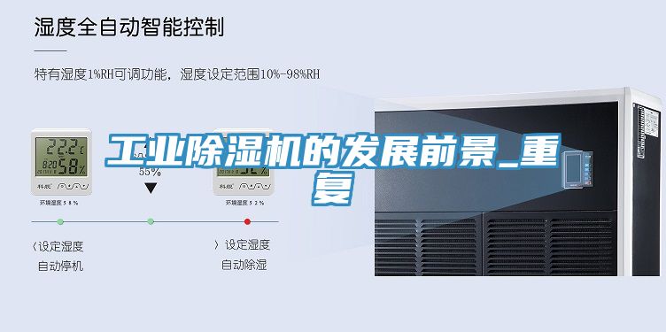 工業91看片软件大全的發展前景_重複