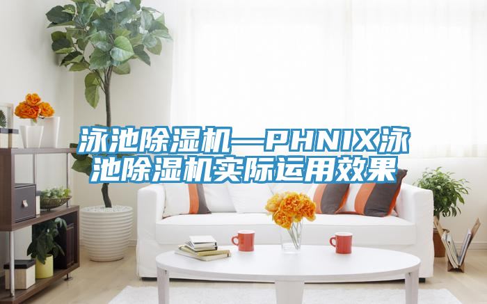 泳池91看片软件大全—PHNIX泳池91看片软件大全實際運用效果